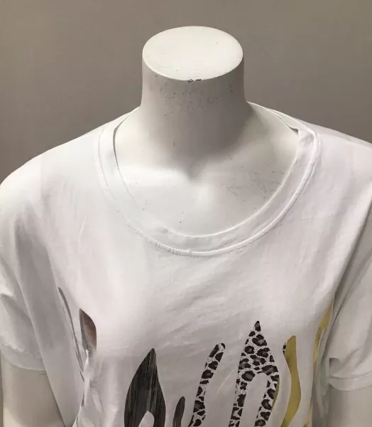 t-shirt grande taille Fudji couleurs du temps